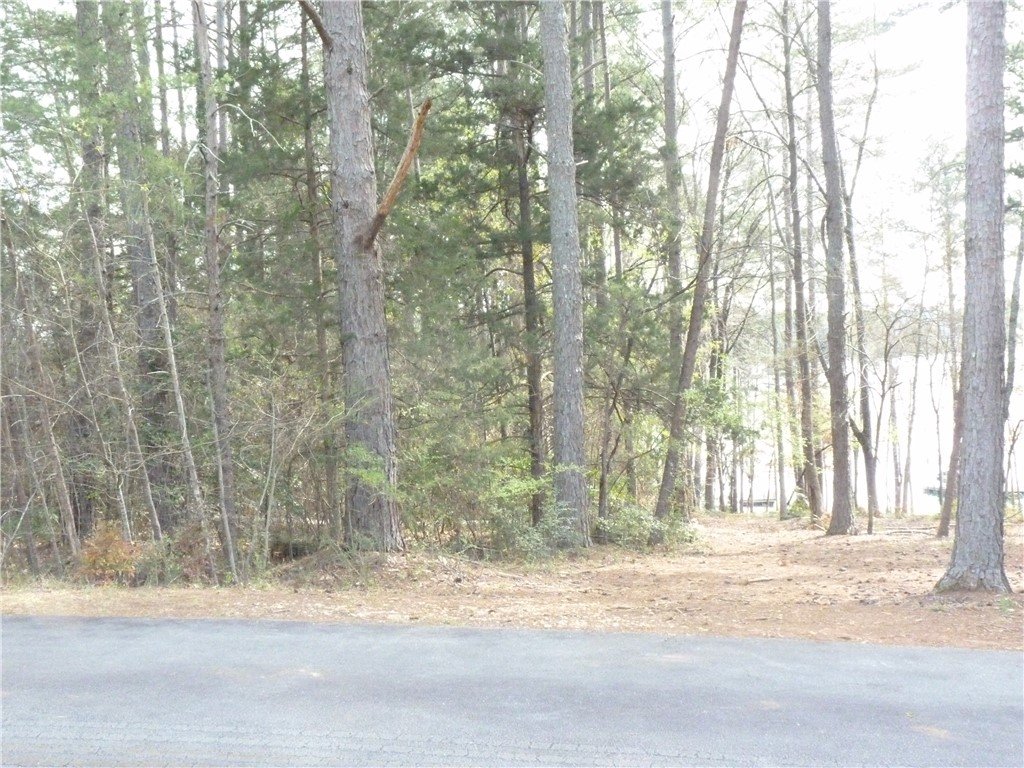 Lot 5 Keowee Haven