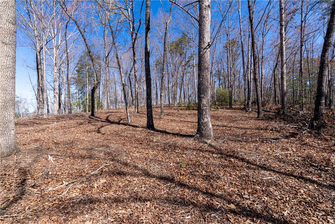 Lot 11 Fairway'S Edge Drive