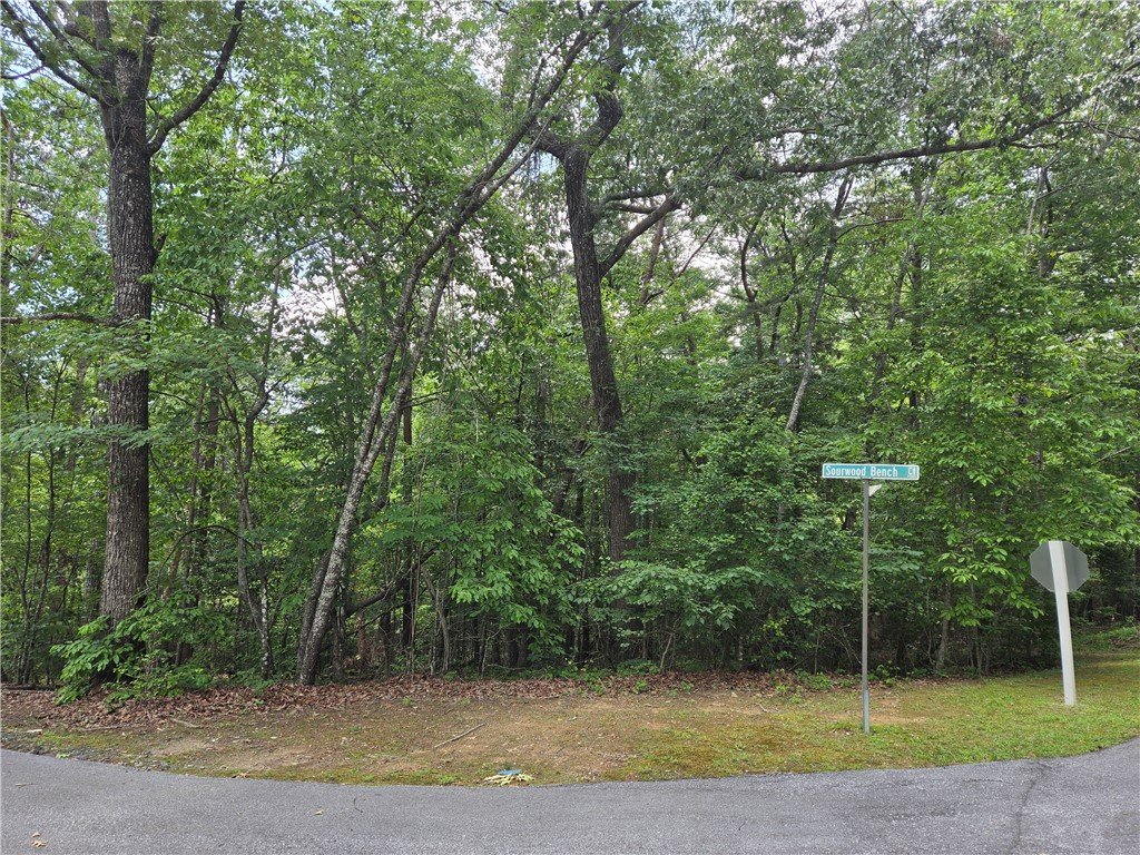 31 Turtlehead Drive