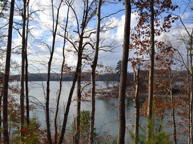 112 Yellowbear Way Lot 67