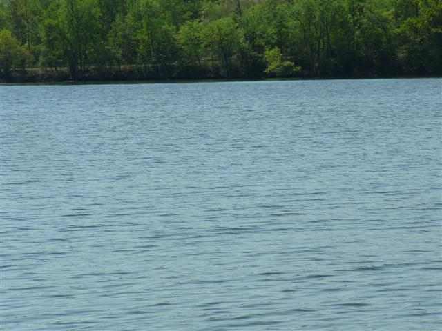 Lt 31 Lakewind Court