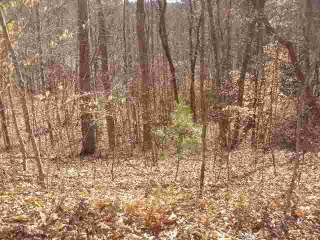 Lot 108 Cedar Creek
