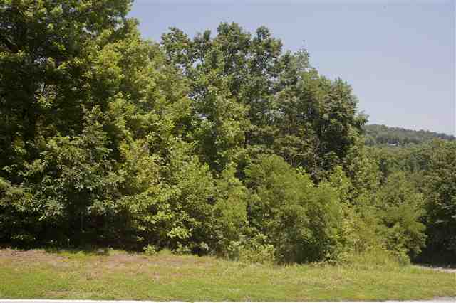 12 Blazing Star Trail Lot 6 The Cliffs at Glass