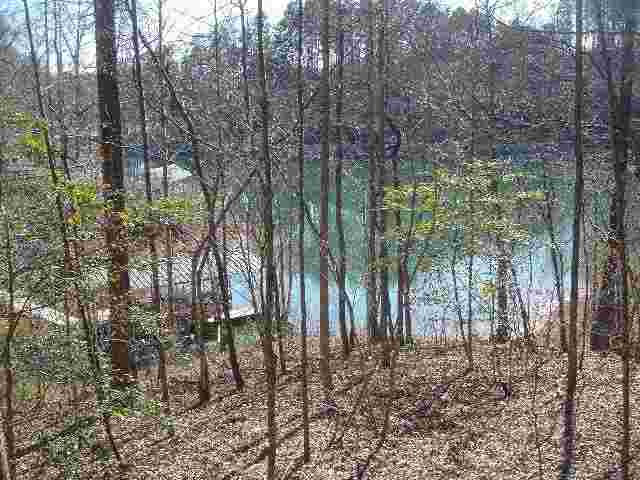 Lot 107 Cedar Creek