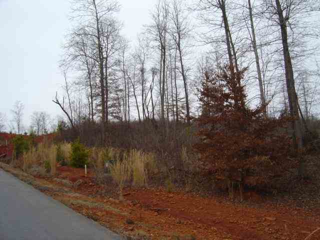 40 Lots Willow Creek Subdivision