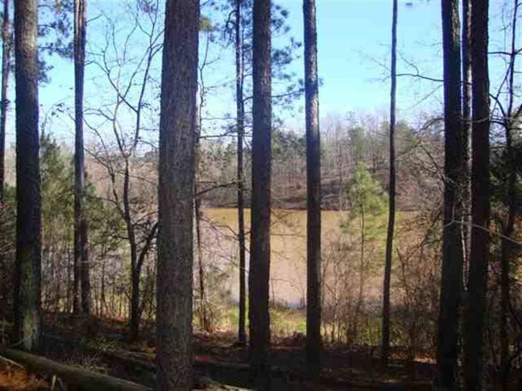 Lot 19 Hunters Run LAKEFRONT LOT
