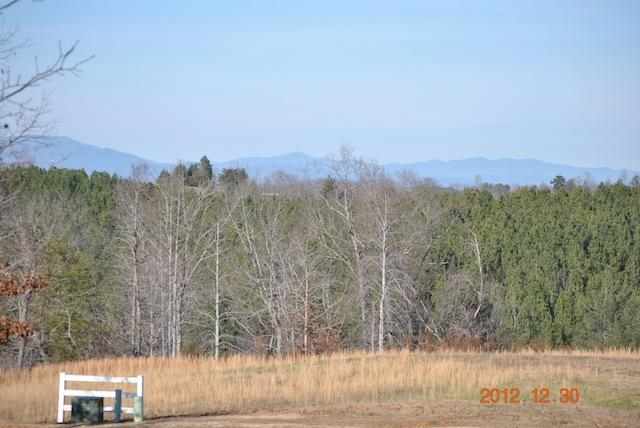 514 Lariat Loop Lot 33 Blue Mountain Esta