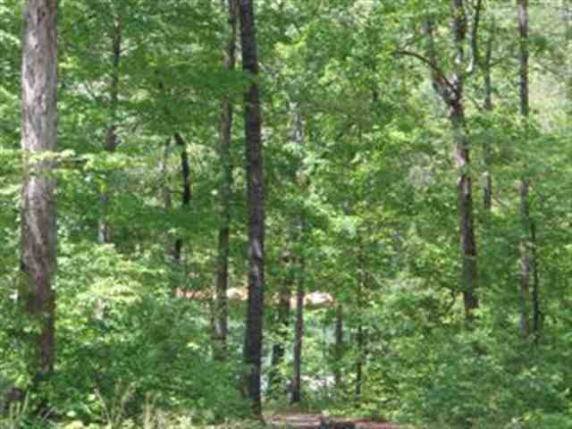 Lot 12 Wilderness Cove