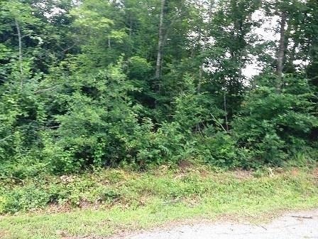 Lot 21 Horseshoe Bend