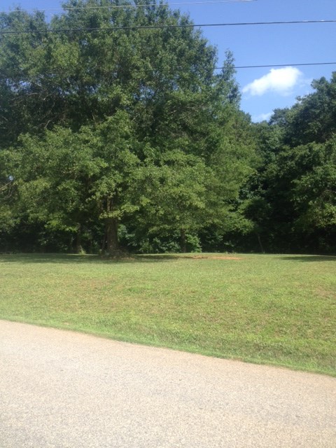 201 Beaver Lane