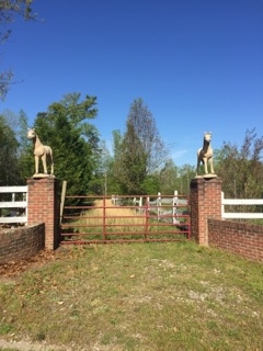 129 Sheila Drive