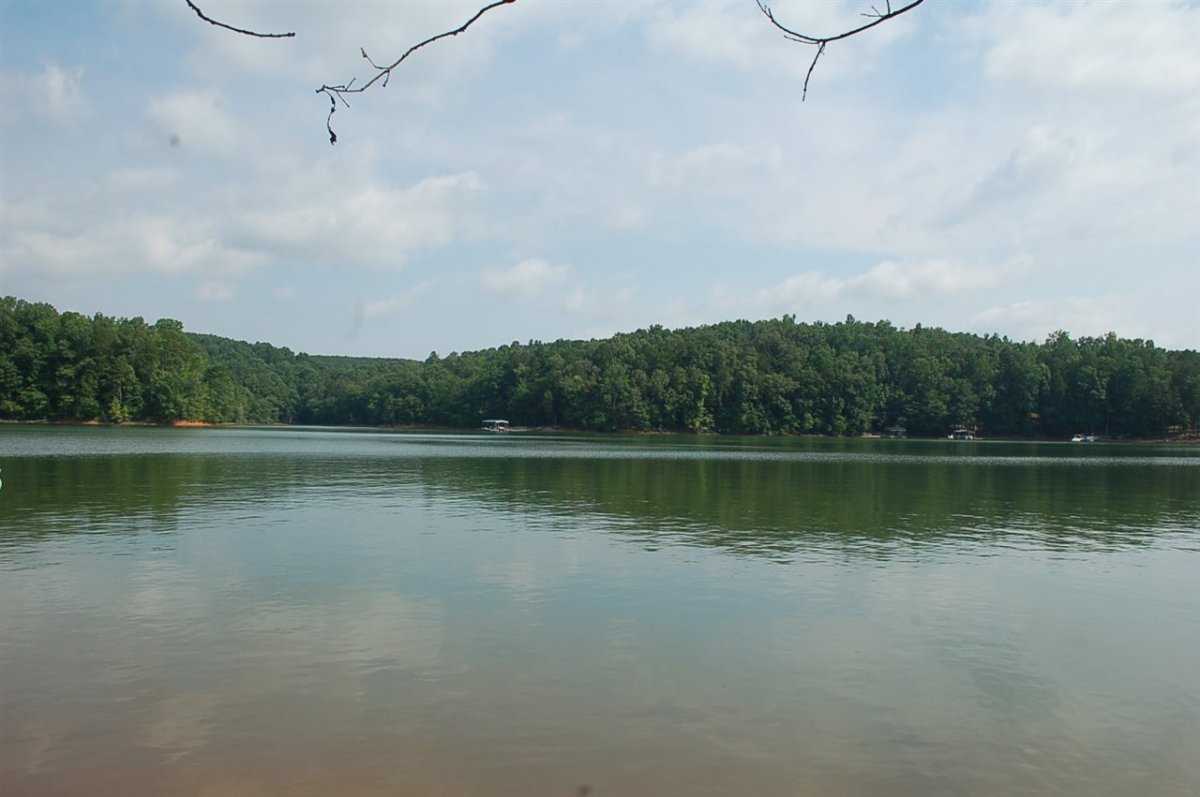 Lot 40 Martin Lake Drive