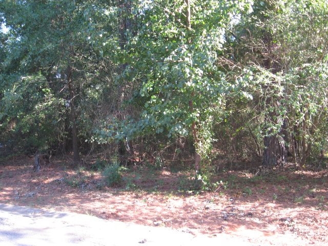 Lot 111 Laurel Ridge Road