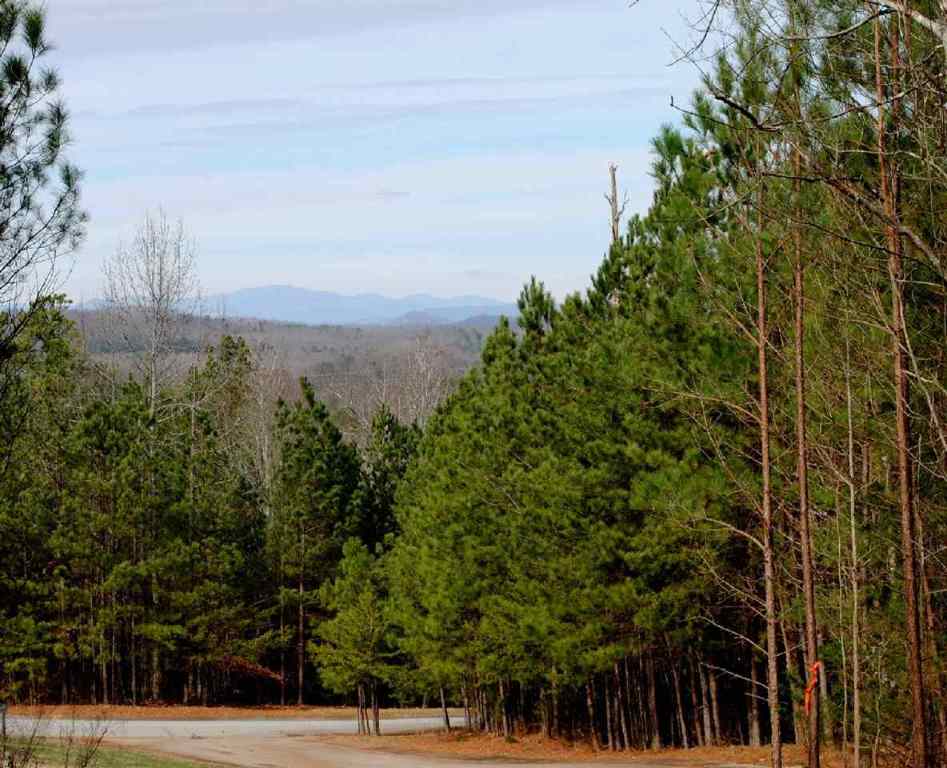 102 Splendor View Drive Lot 5 A  Six Mile Ridge S
