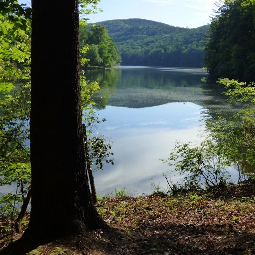 915 Chattooga Lake Road