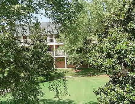 250 Elm Street 123 (A203)