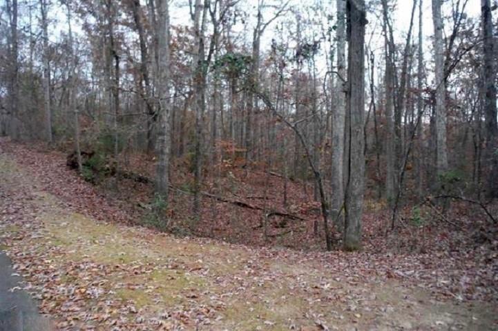 00 Pintail Road