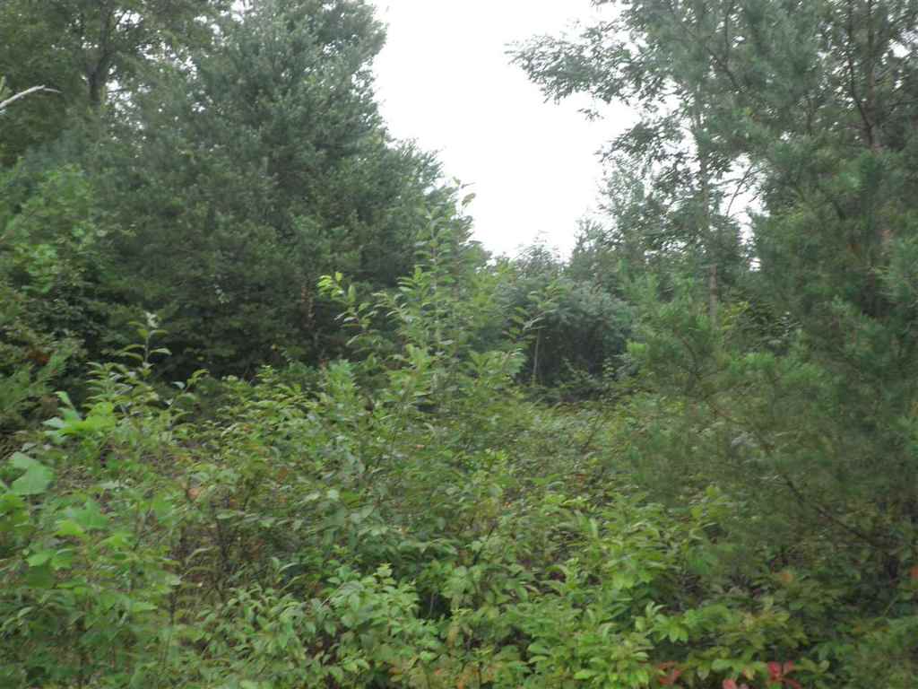 342 Woodmere Drive Lot 65