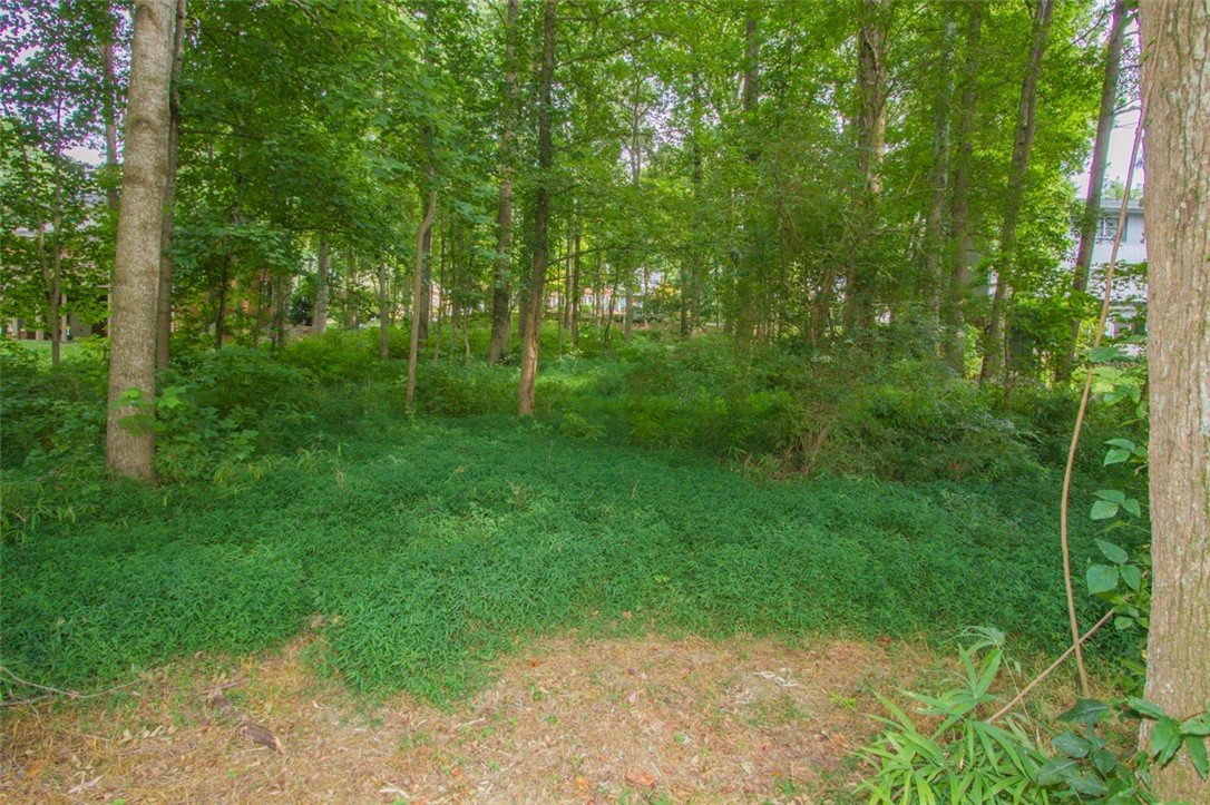 113 Arcadian Lane