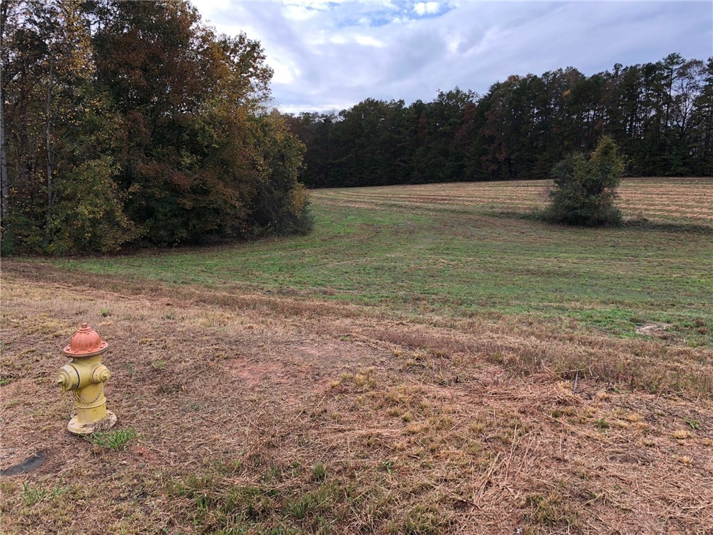 Lot 36 Falcons Lair West Drive