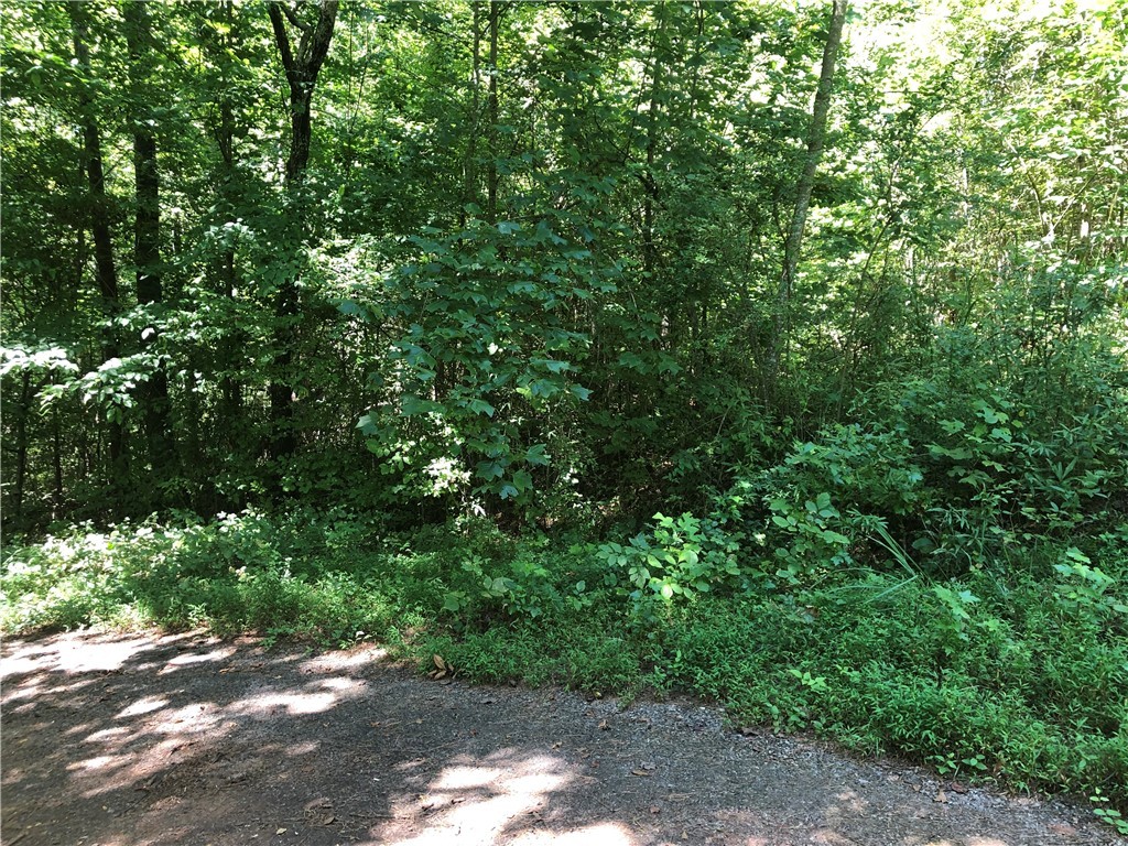 202 Wildwood Court
