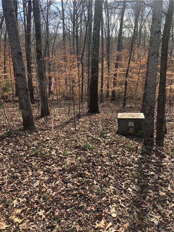 1426 Hunters Trail