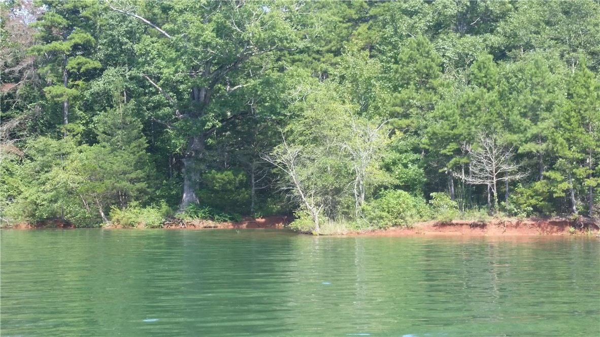 10 Osceola Trail