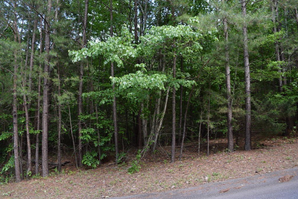 207 Long View Lane