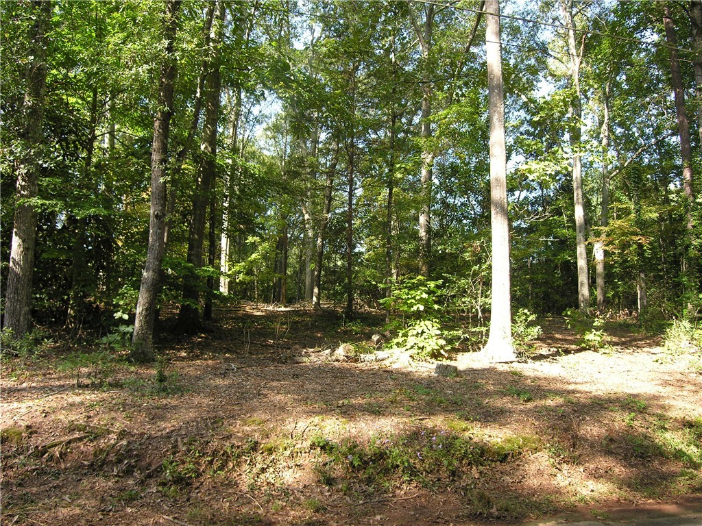Lot 20 Hunnicutt Lane