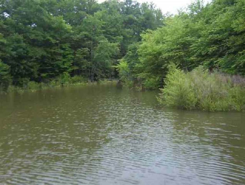 Lot 13 Madison Shores Drive