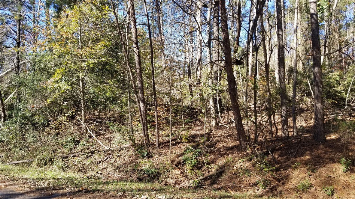 7 Forest Drive