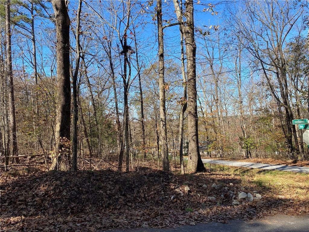 00 Lynnhaven Drive
