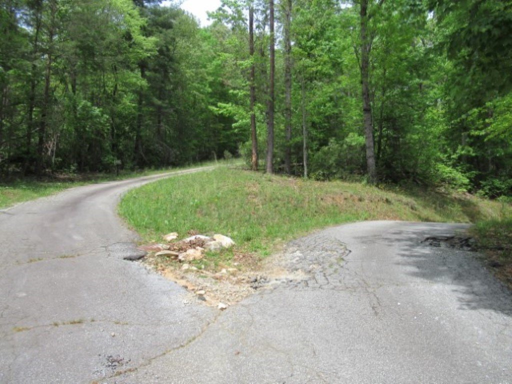 357 Gauley Falls Road