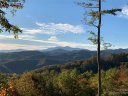 Timber Rock