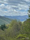 Newfound Gap Acres