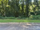 Forest Park