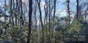 Upper Creek Acres