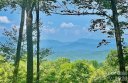 Joshua Summit