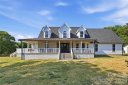 Plantation Forest
