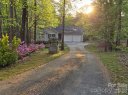 Forest Glen