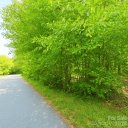 Fairway Acres