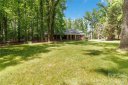 Briar Patch