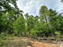 Bird Creek Estates