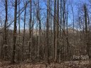 Trillium