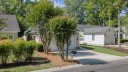 Elms Of Charleston