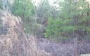 Lot 20 Archer Way sold home in Iron Station, SC