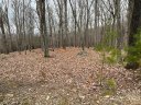 282 Cascading Creek Trail sold home in Denton, SC