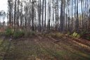 5102 Oxbow Run Lane sold home in Clover, SC