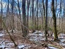 135 Greenbriar Road sold home in Beech Mountain, SC