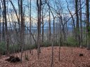 Lot 2 Paisley Lane sold home in Pisgah Forest, SC
